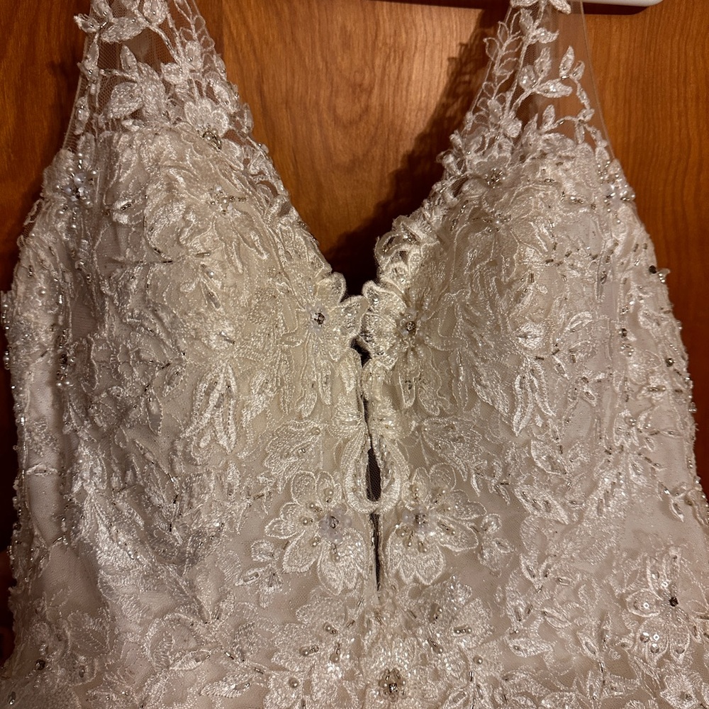 Elegant Lace Wedding Dress - Picture 4 of 10